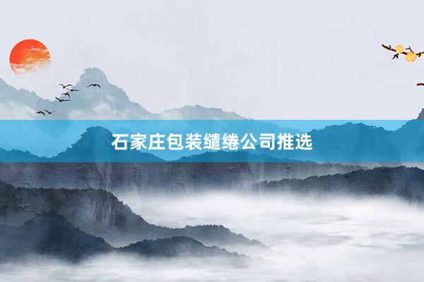 石家庄包装缱绻公司推选