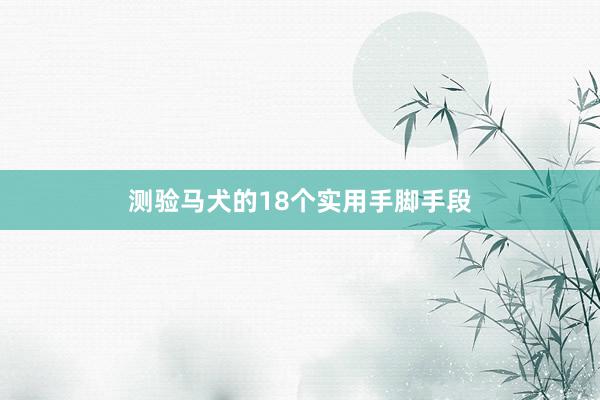 测验马犬的18个实用手脚手段